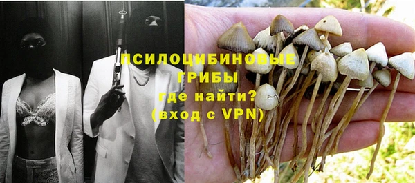 тгк Кодинск