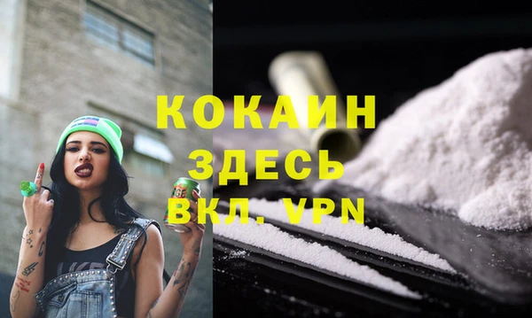 соль курить ск Козловка